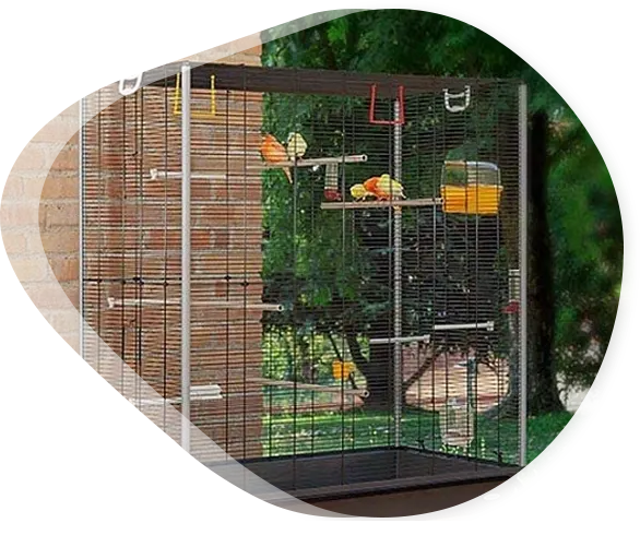 Volière exterieur